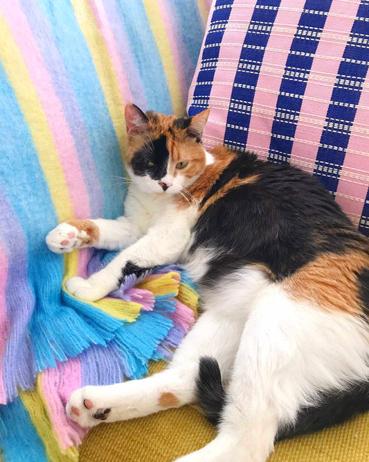 Postmodern Stripe Pillow in Retro