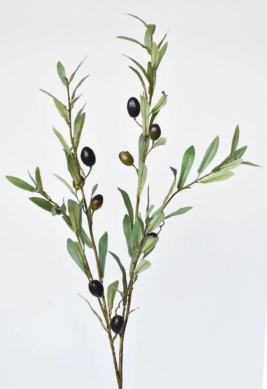 Classical Olive Stem (39") House by JSD