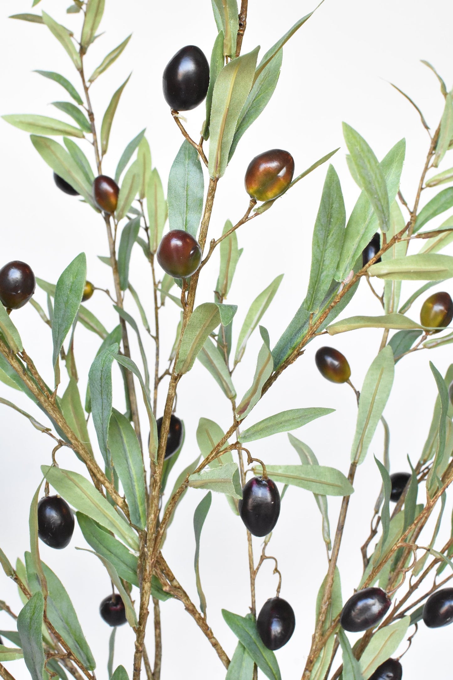 Classical Olive Stem (39")