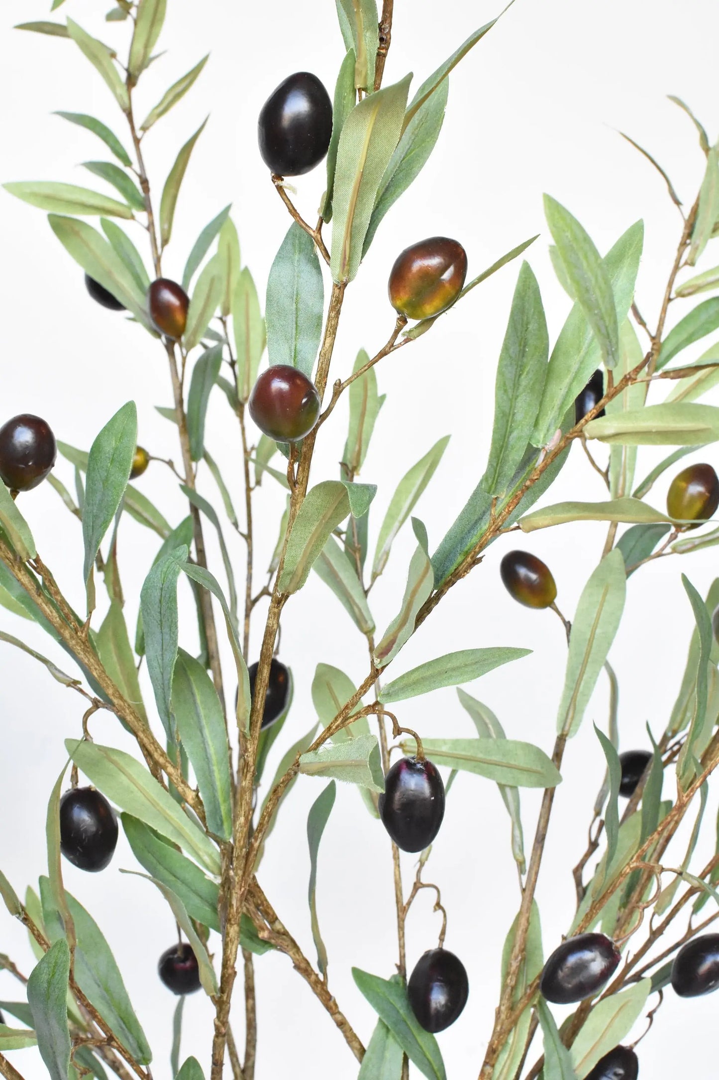 Classical Olive Stem (39") House by JSD