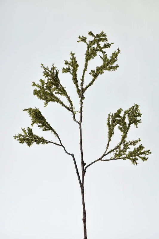 Moss-Patinated Limb (33") House by JSD