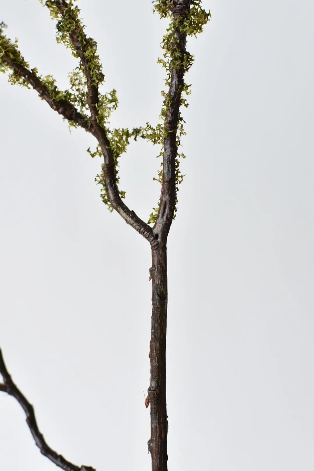 Moss-Patinated Limb (33") House by JSD