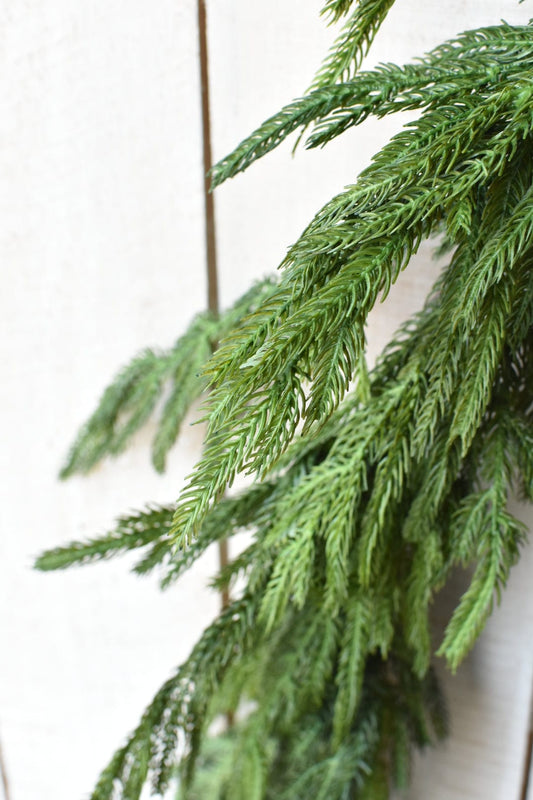 Norfolk Pine Garland | 60"