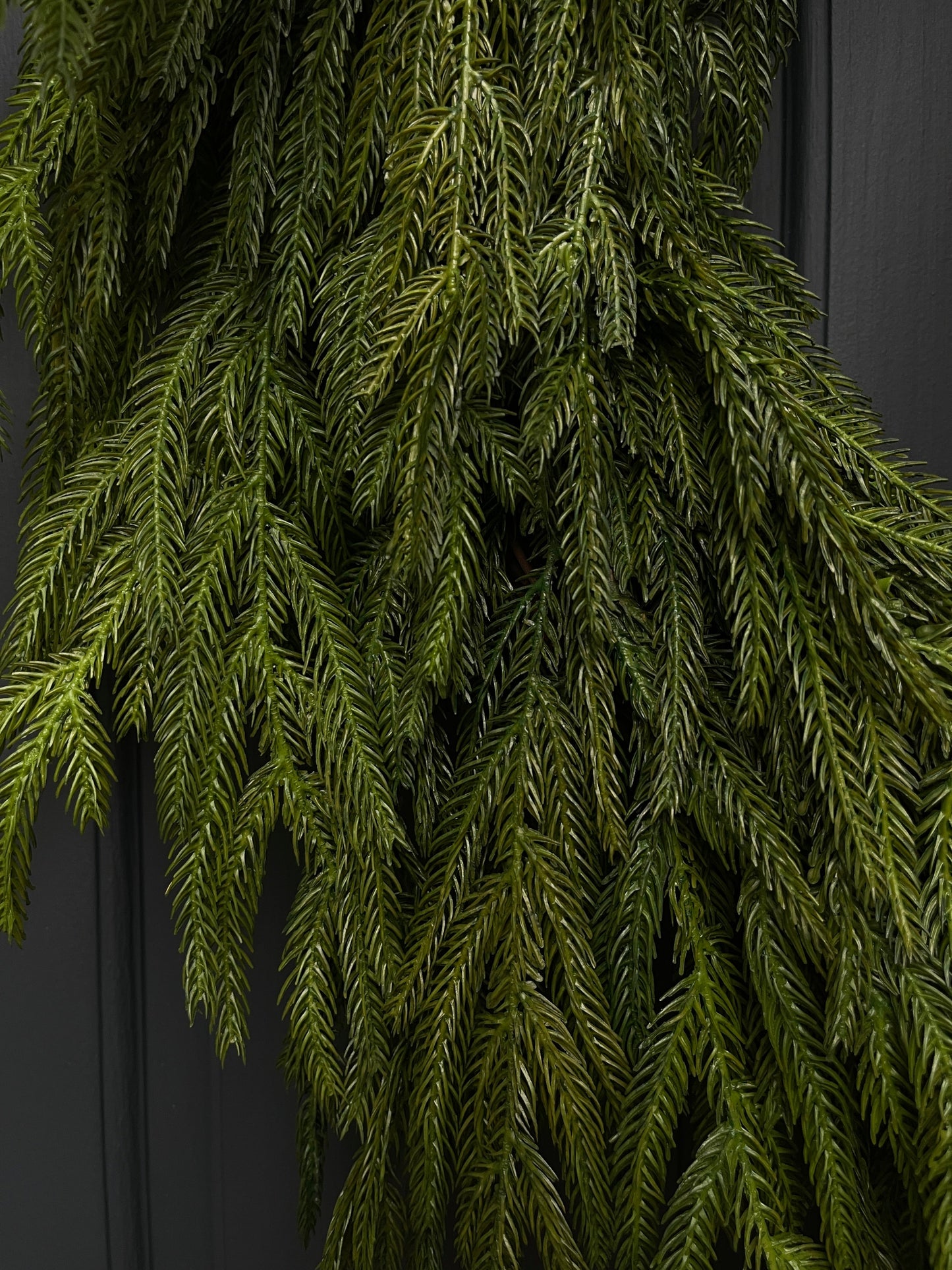 Norfolk Pine Wreath - Dior Bow