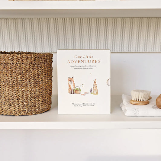 Our Little Adventures Box Set Paige Tate and Co.