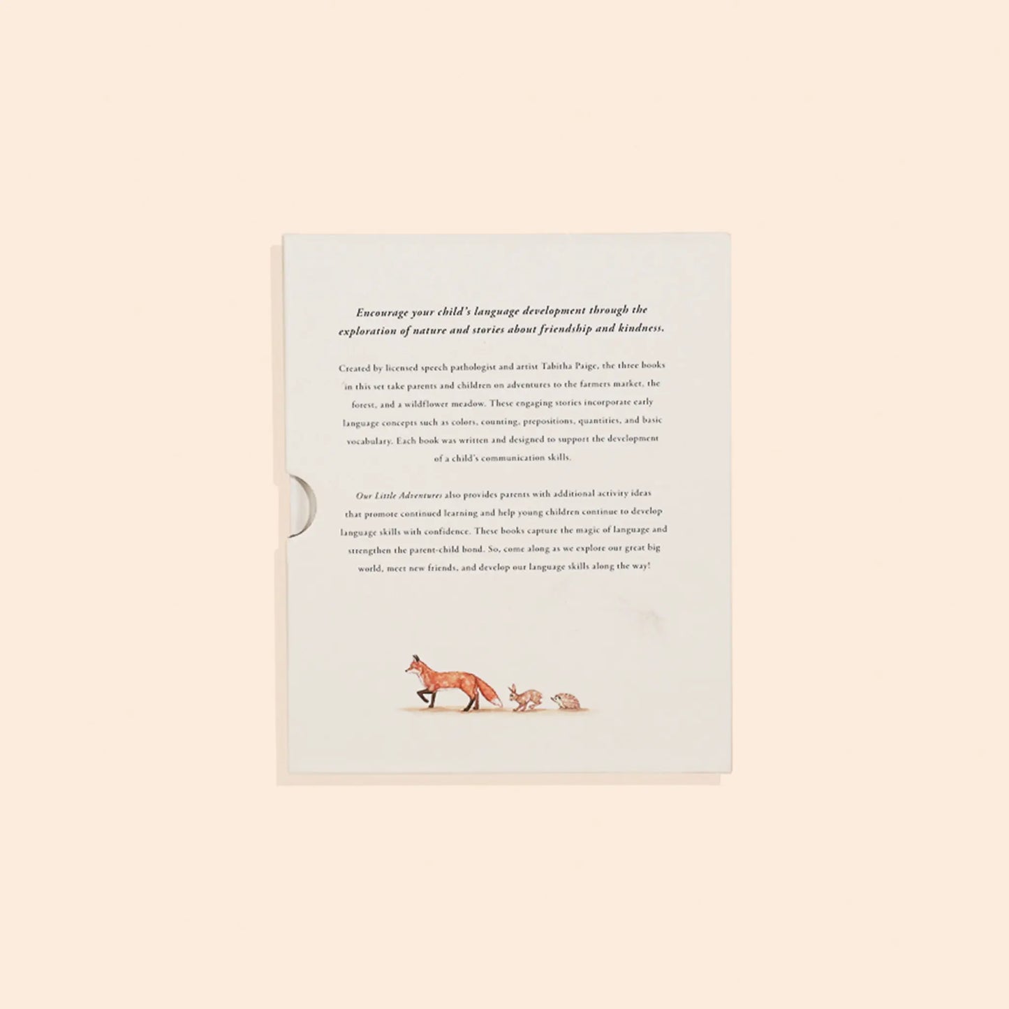 Our Little Adventures Box Set Paige Tate and Co.