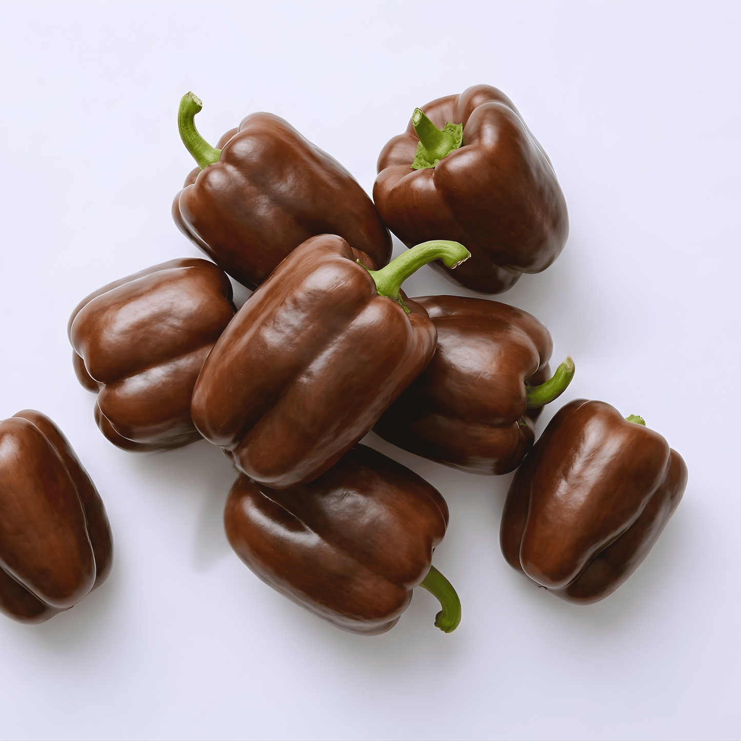 Poivron Chocolat Beauté | 30 graines