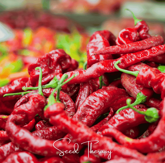 Jimmy Nardello's Pepper | 25 Seeds