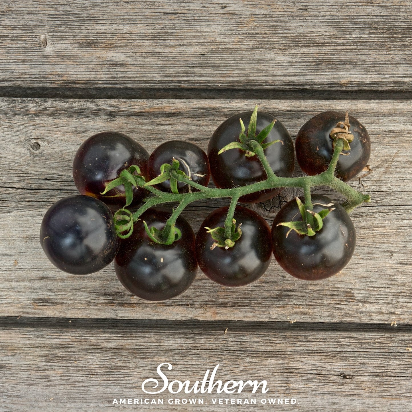 Black Cherry Tomato | 20 Seeds