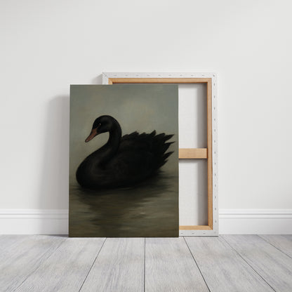 The Solitary Black Swan (Giclée Study)