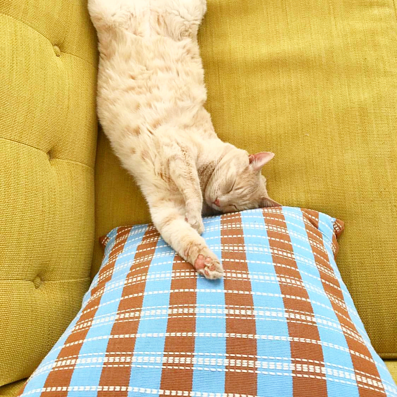 Postmodern Stripe Pillow in Azul Maya