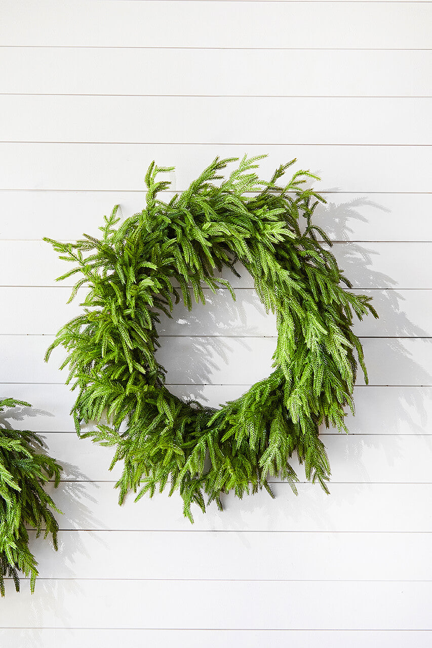Norfolk Pine Wreath | 30"