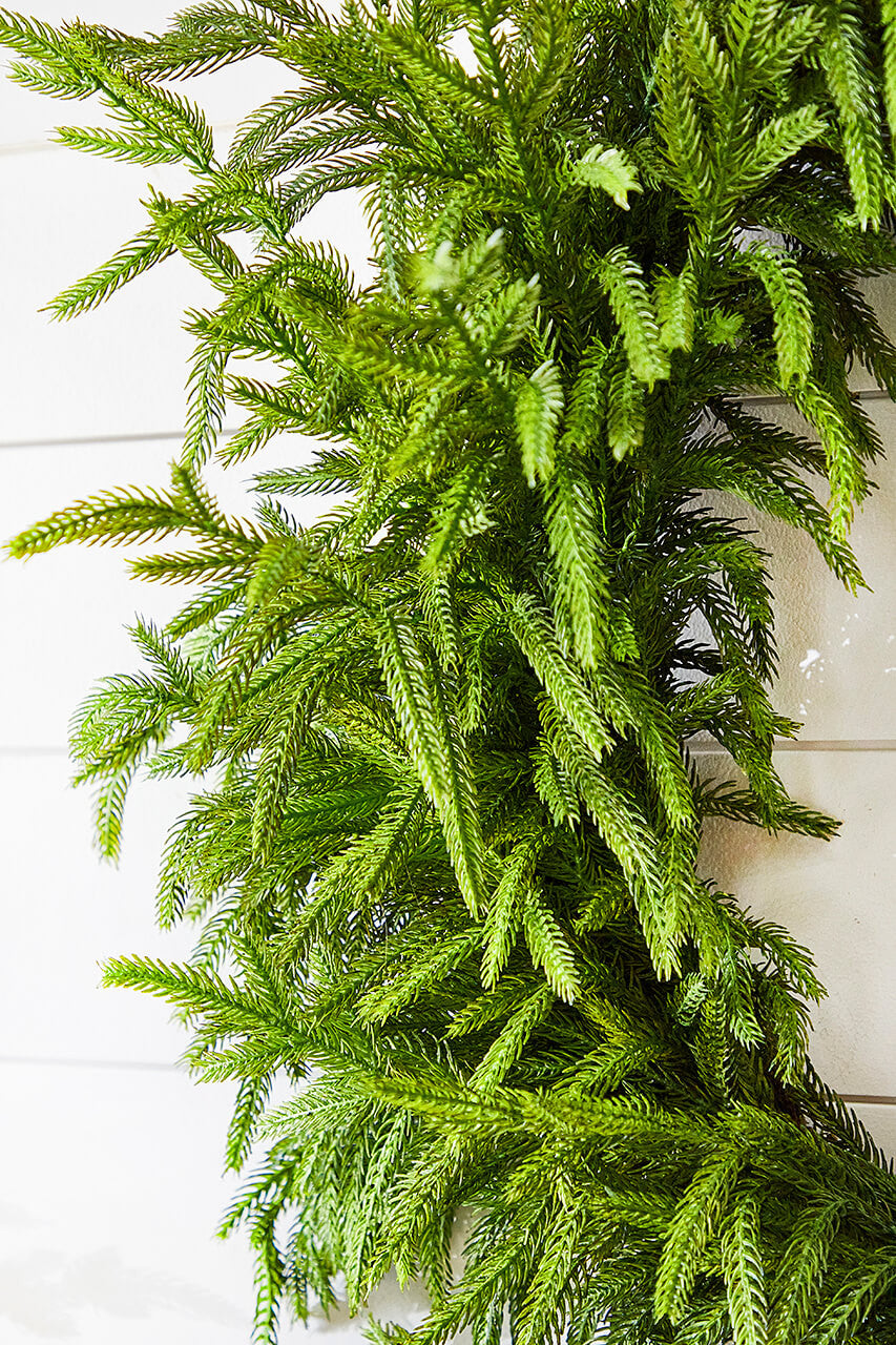 Norfolk Pine Wreath | 30"