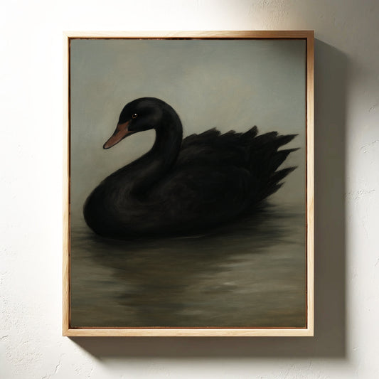 The Solitary Black Swan (Giclée Study)