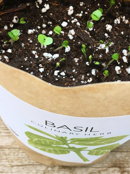 Garden in a Bag | Herbs