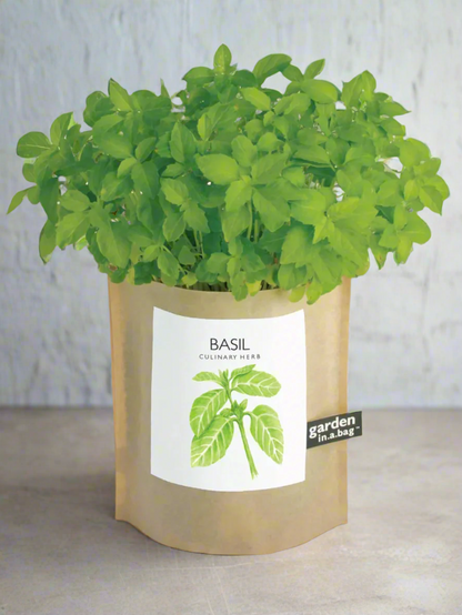 Garden in a Bag | Herbs