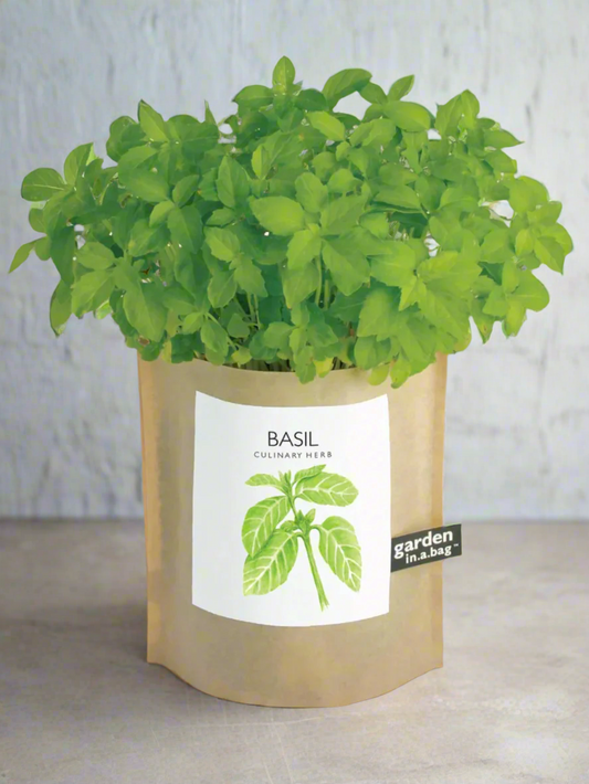 Garden in a Bag | Herbs