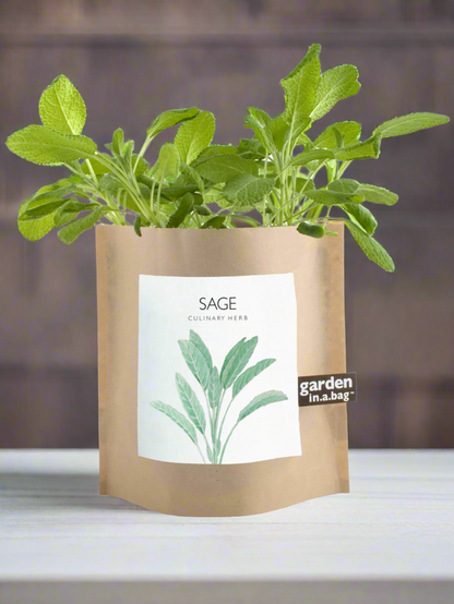 Garden in a Bag | Herbs