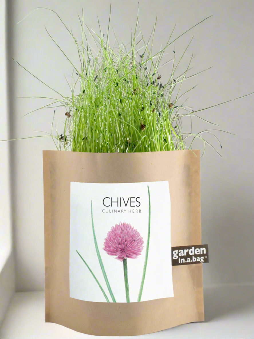 Garden in a Bag | Herbs