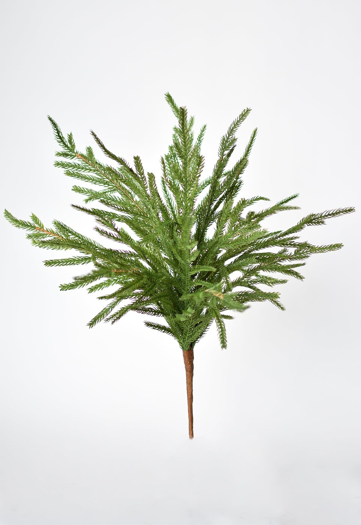 Norfolk Pine Greenery Spray | 20"