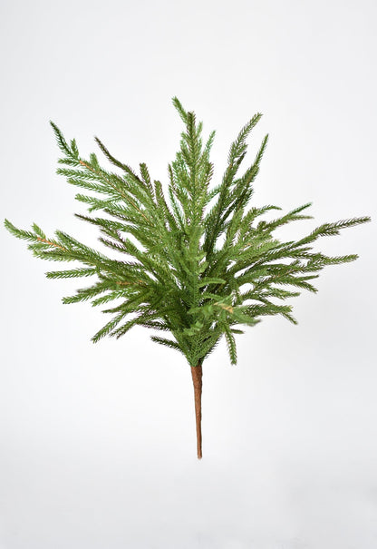 Norfolk Pine Greenery Spray | 20"