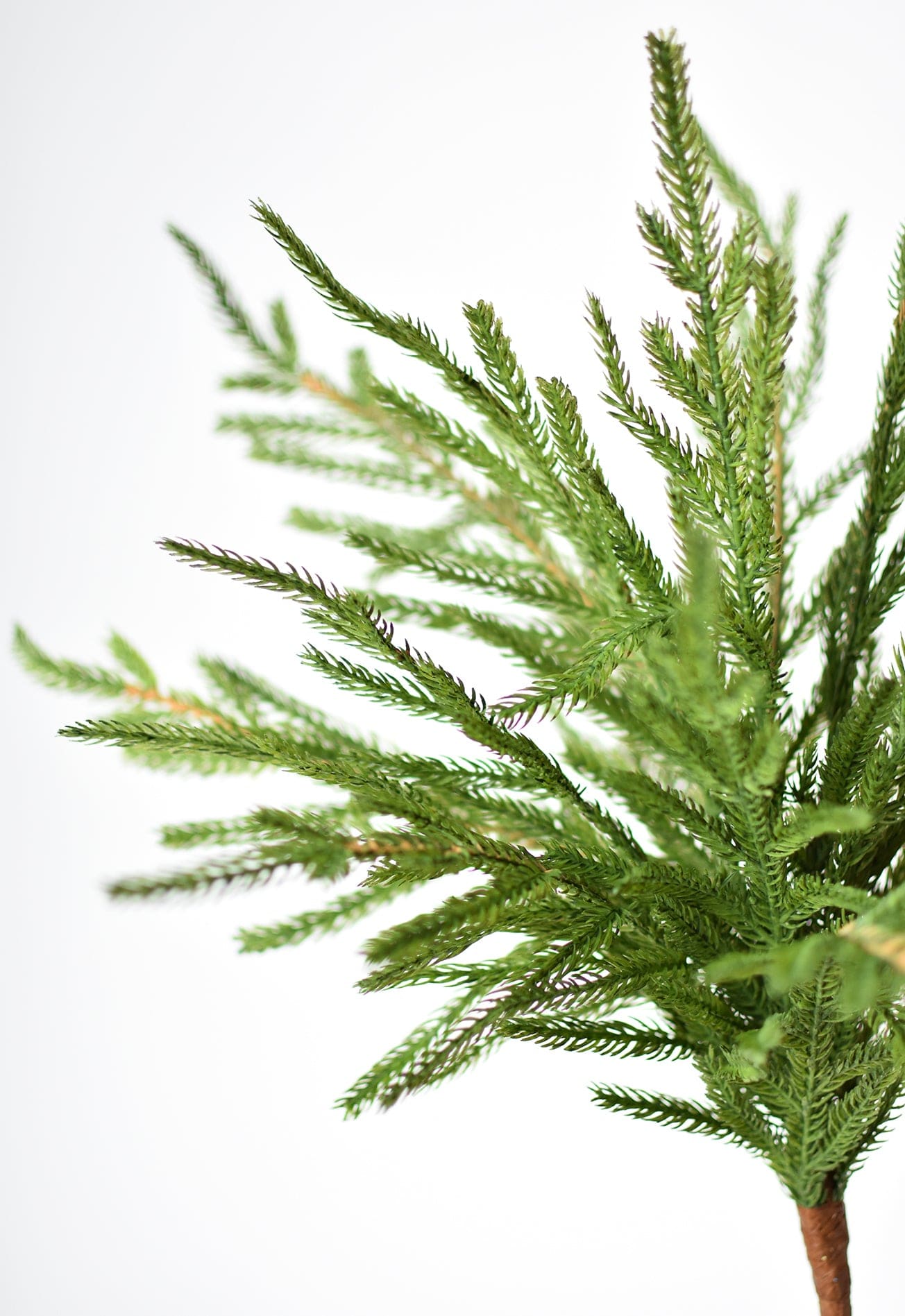 Norfolk Pine Greenery Spray | 20"