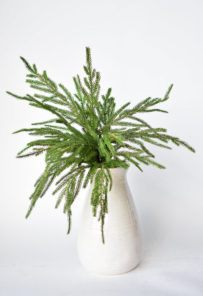 Norfolk Pine Greenery Spray | 20"