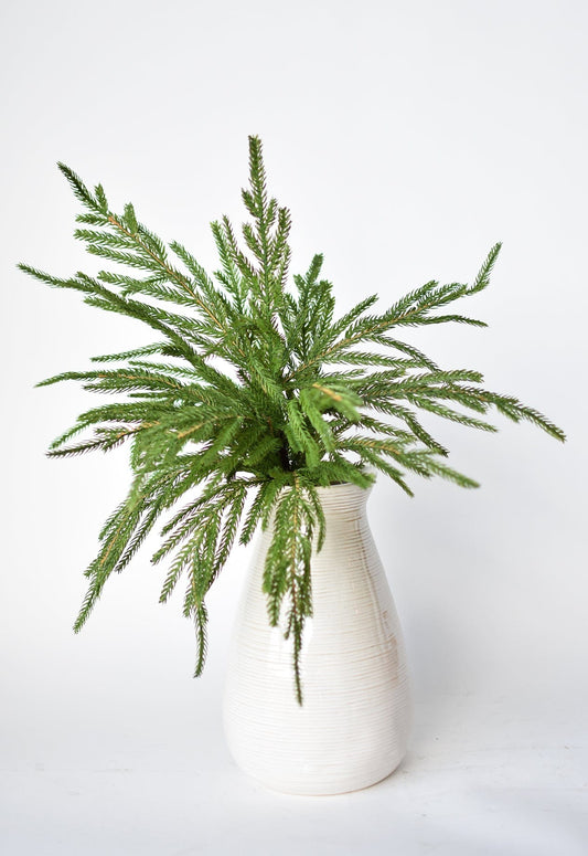 Norfolk Pine Greenery Spray | 20"