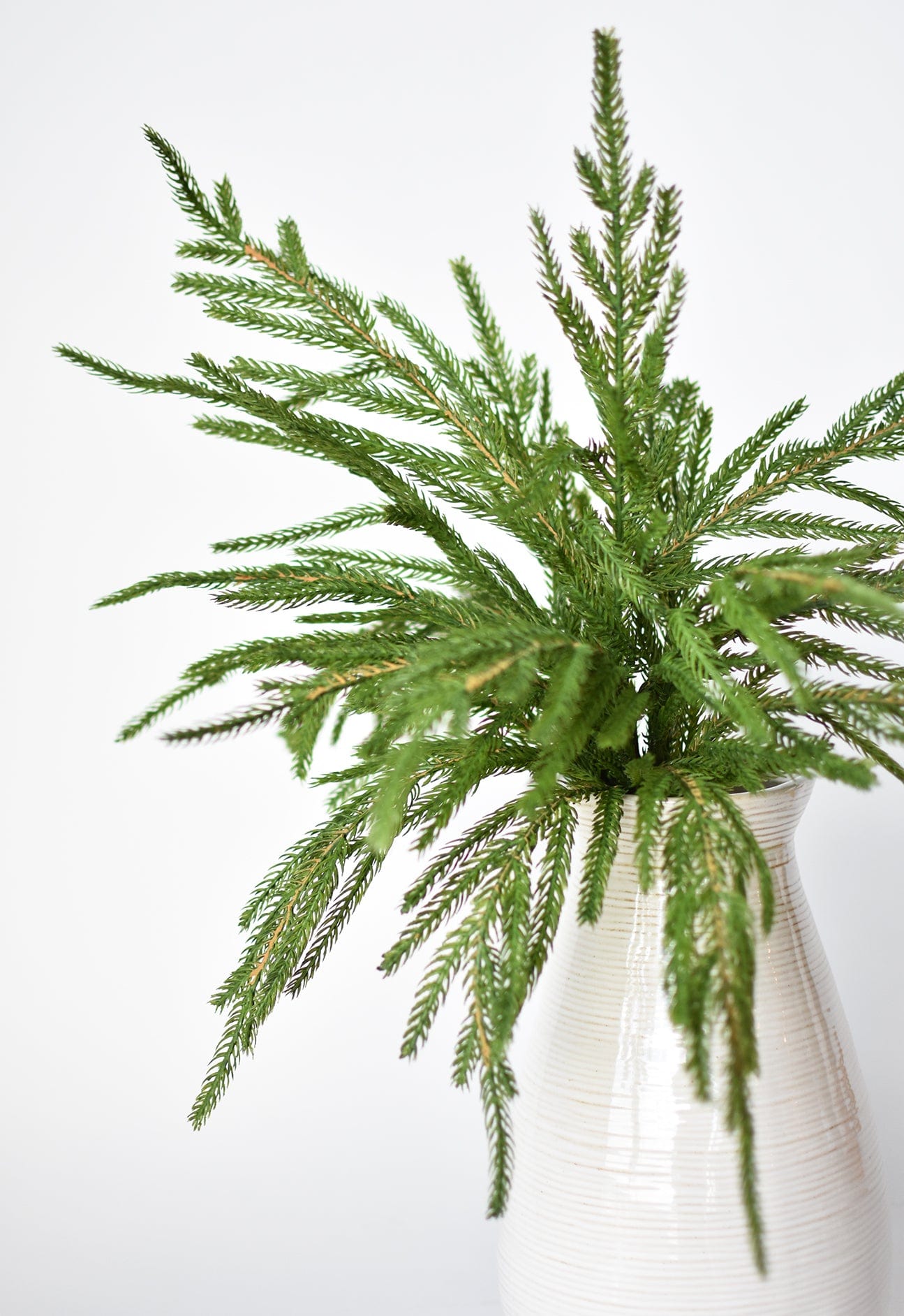 Norfolk Pine Greenery Spray | 20"