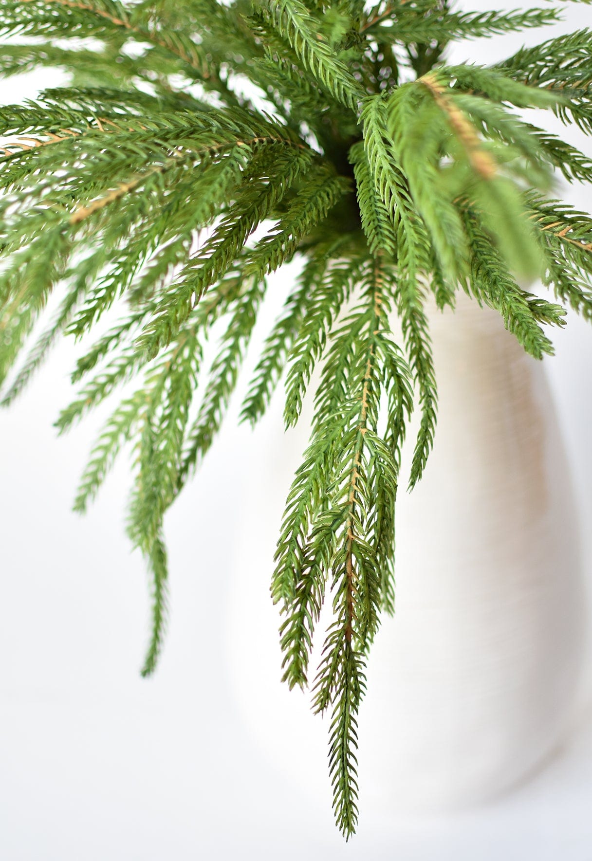Norfolk Pine Greenery Spray | 20"