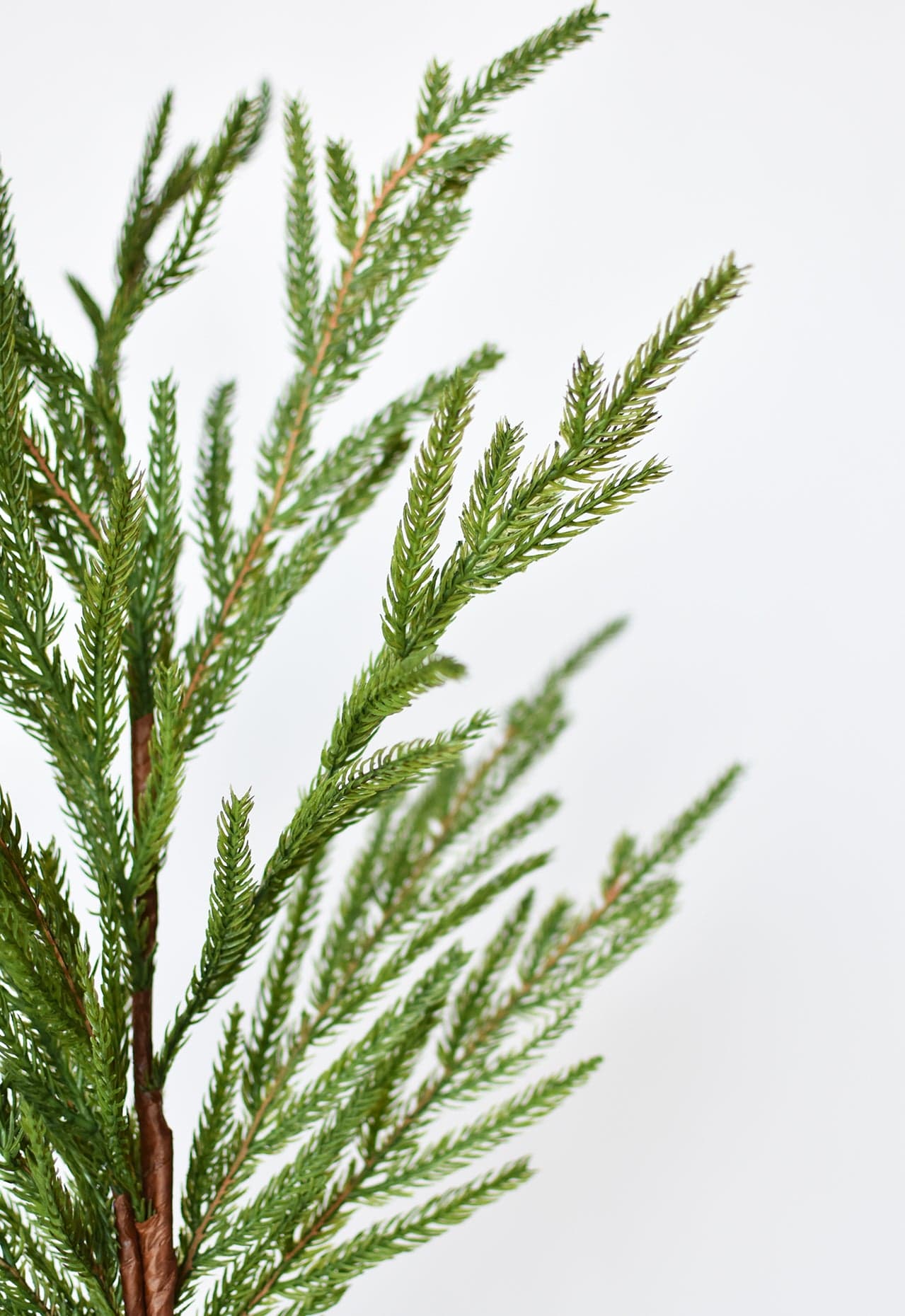 Cypress Greenery Spray | 36"