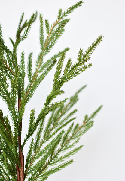 Cypress Greenery Spray | 36"