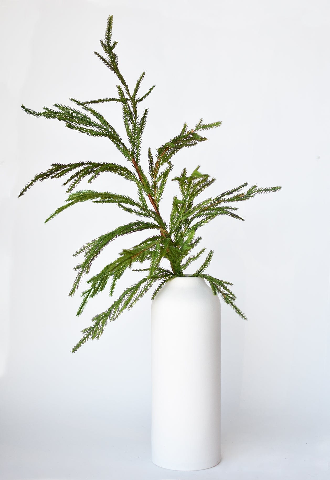 Cypress Greenery Spray | 36"