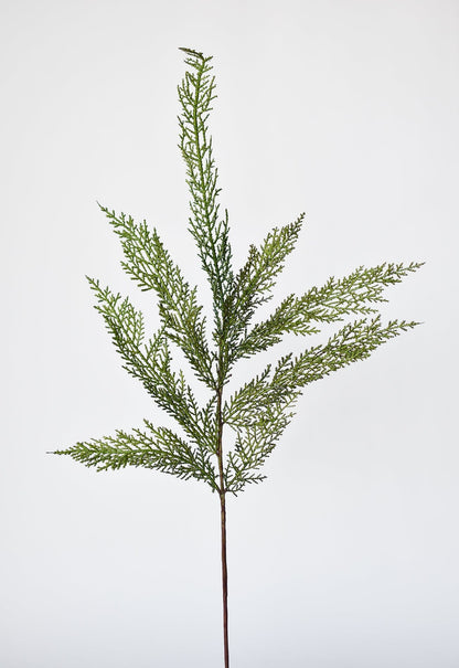 Cedar Spray (30")