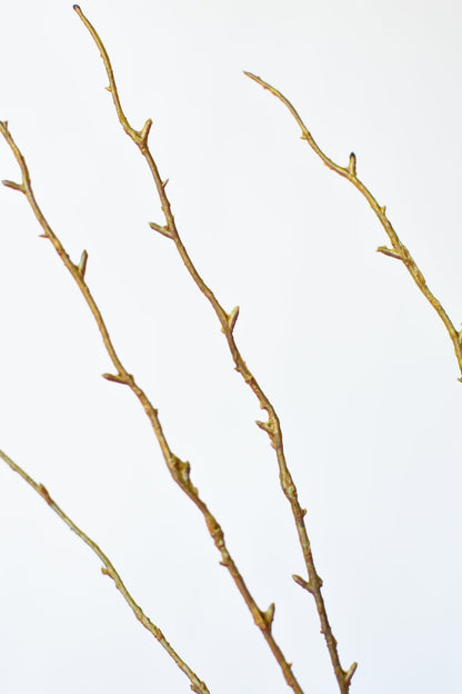 Architectural Limb (40")