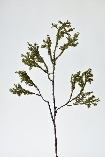 Moss-Patinated Limb (33")