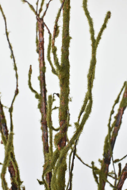 Architectural Mossy Limb (42")