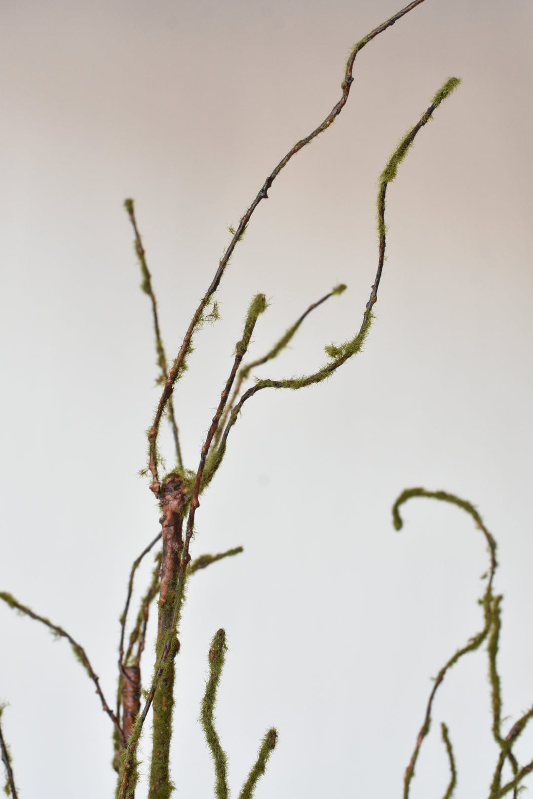 Architectural Mossy Limb (42")