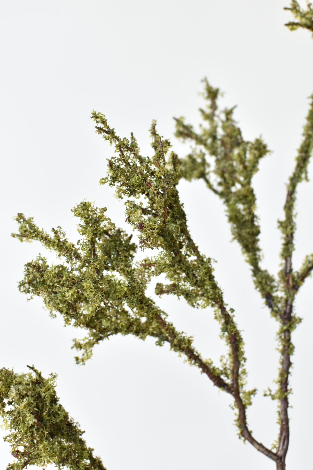 Moss-Patinated Limb (33")