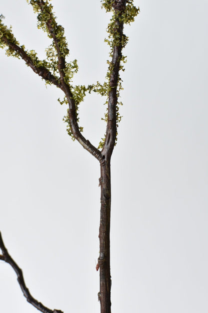 Moss-Patinated Limb (33")