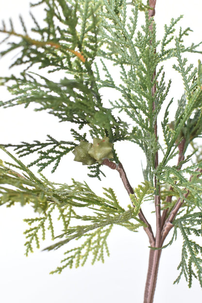 Cedar with Pods Spray (16")