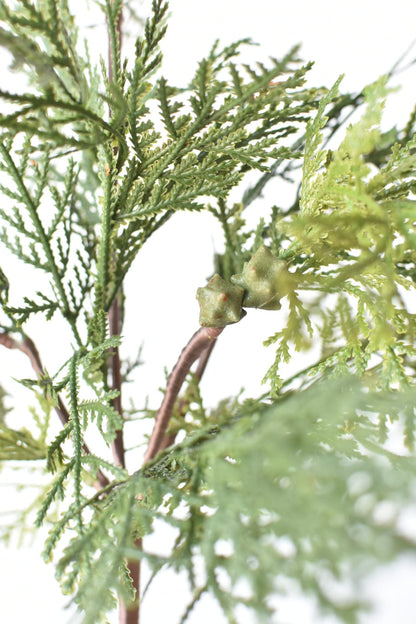 Cedar with Pods Spray (16")