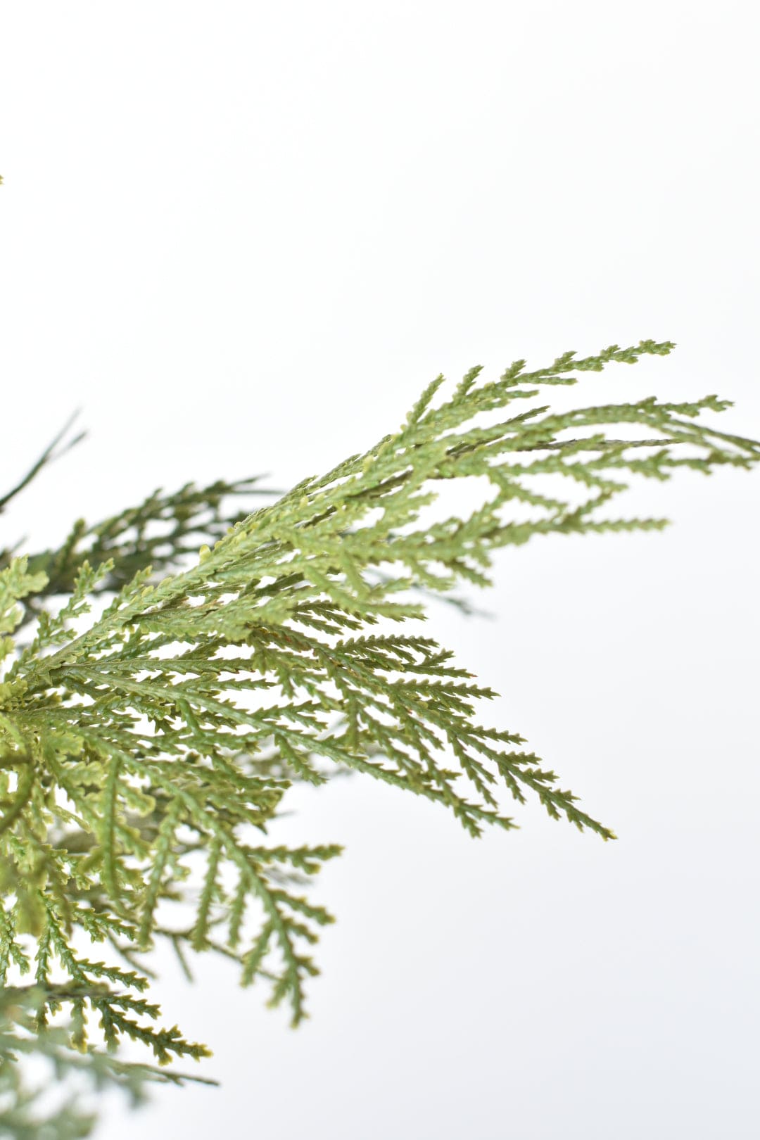 Cedar with Pods Spray (16")