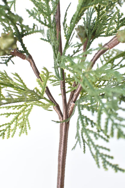 Cedar with Pods Spray (16")