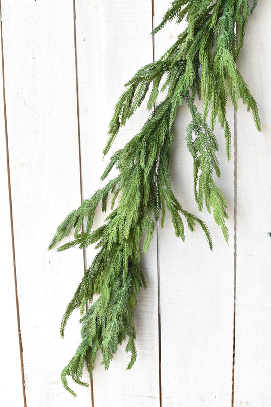 Norfolk Pine Garland | 60"