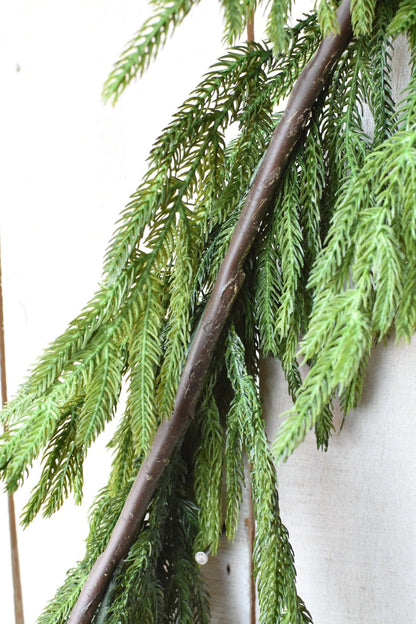 Norfolk Pine Garland | 60"