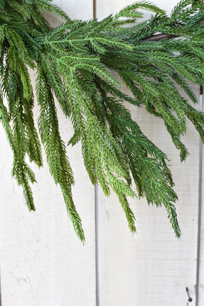 Norfolk Pine Garland | 60"