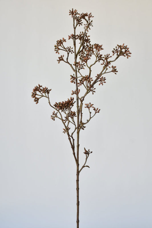 Architectural Sedum Branch (38")