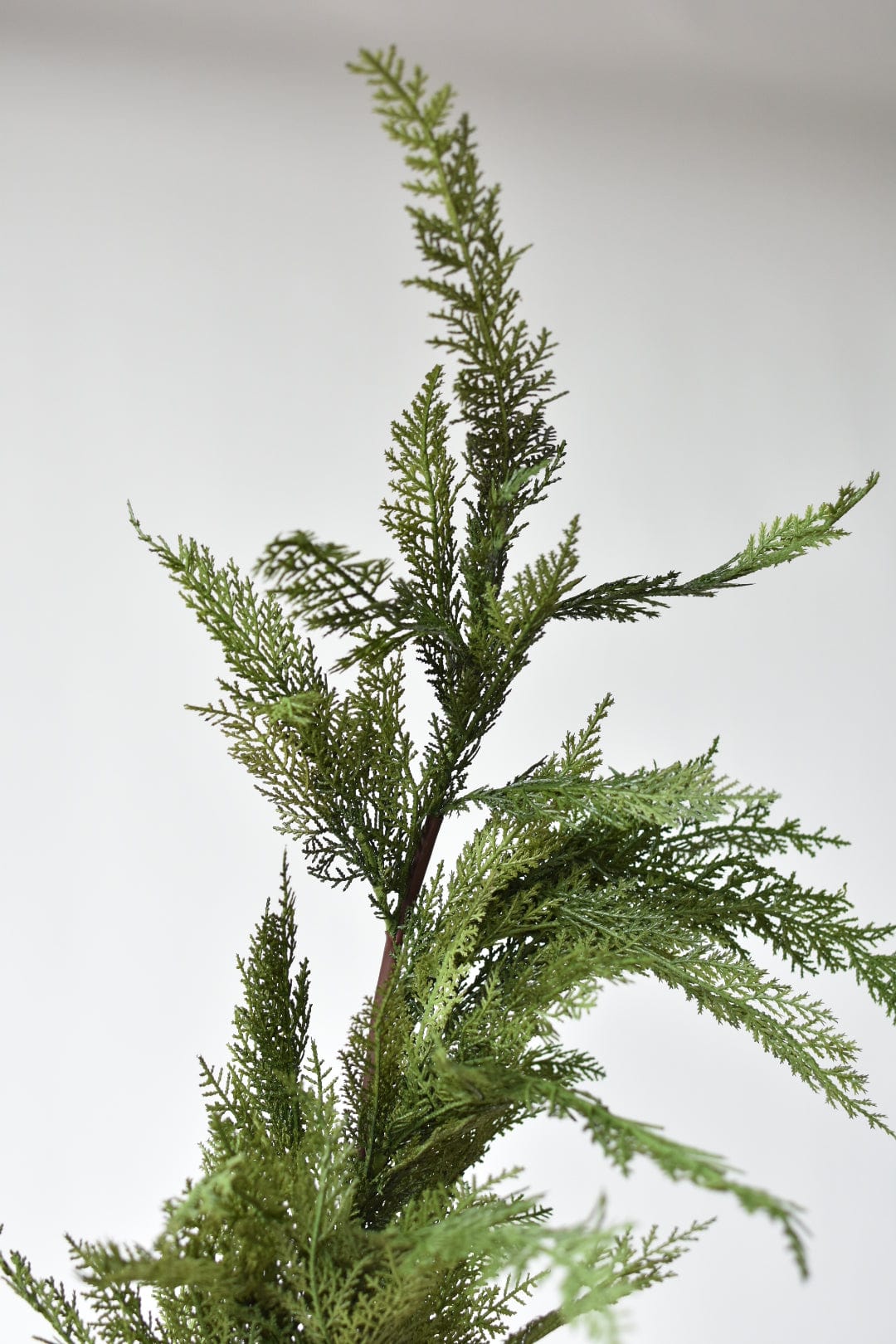 Cedar Structural Swag (65")