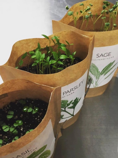 Garden in a Bag | Herbs